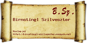 Birnstingl Szilveszter névjegykártya